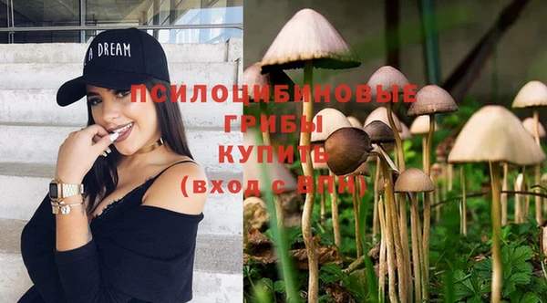 винт Верея